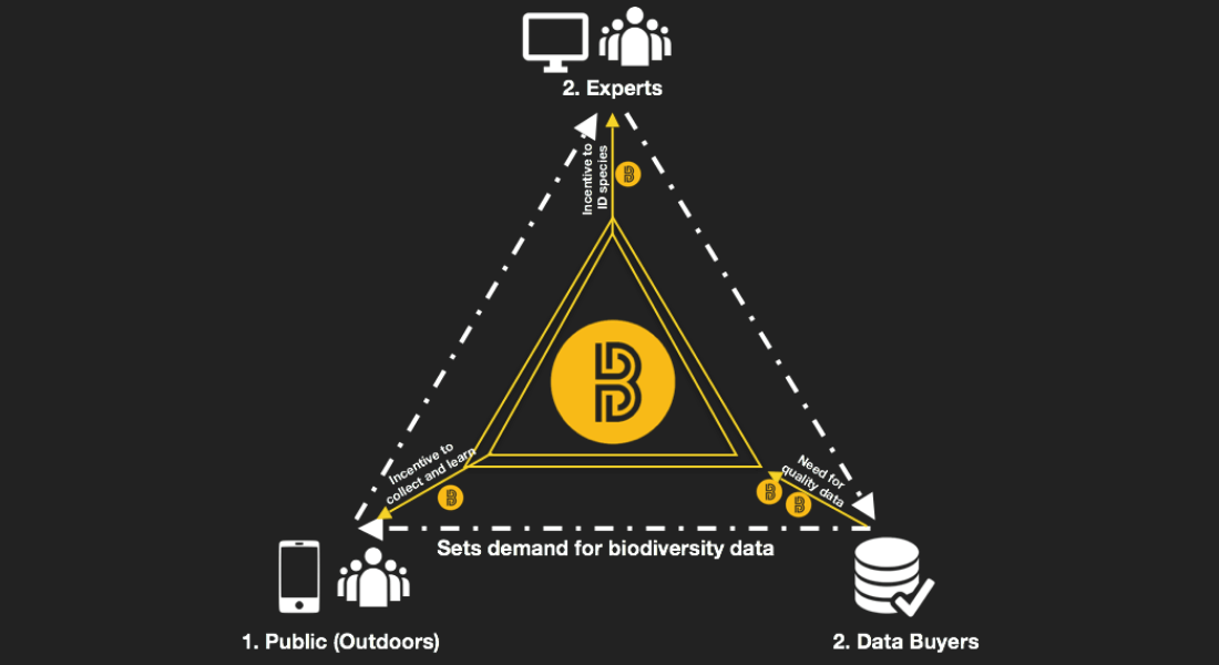 biocoin eco-friendly cryptocurrency